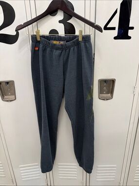 Aviator Nation Sweatpants with Bolt